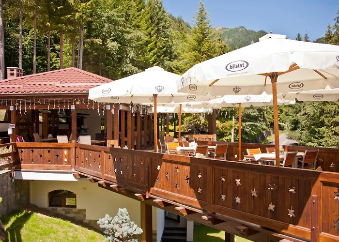 Cabana Schiori Sinaia